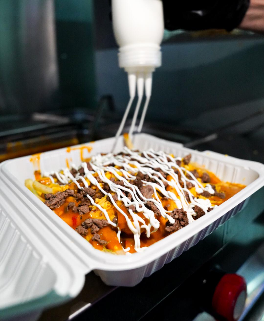 Carne Asada Fries